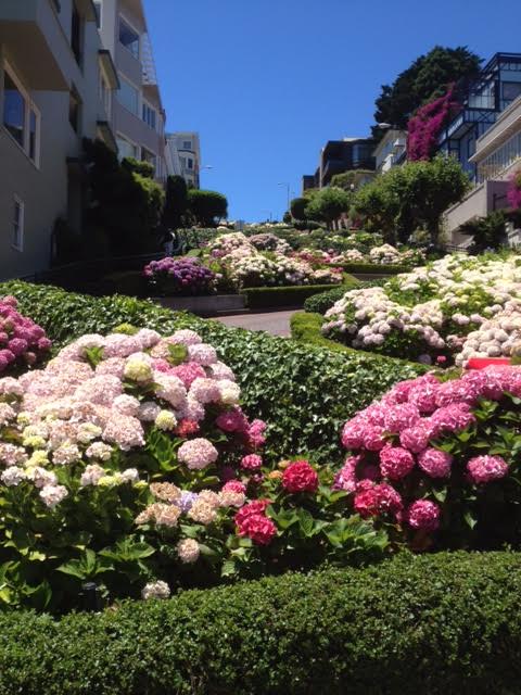LombardStreet flowers